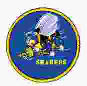 Seabee Patches